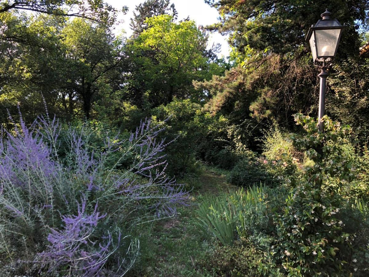 Villa Brizzi 산레자로디사베나 외부 사진
